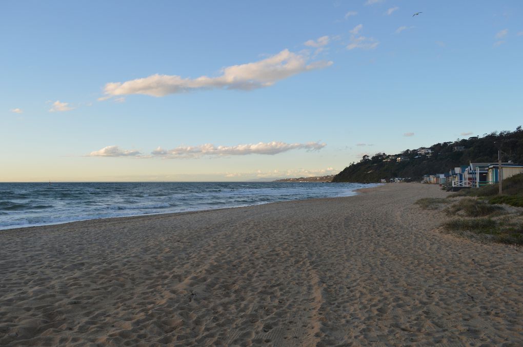 Mornington, chez Peter et Carmel avec Jack,  "the Chef", aux fourneaux