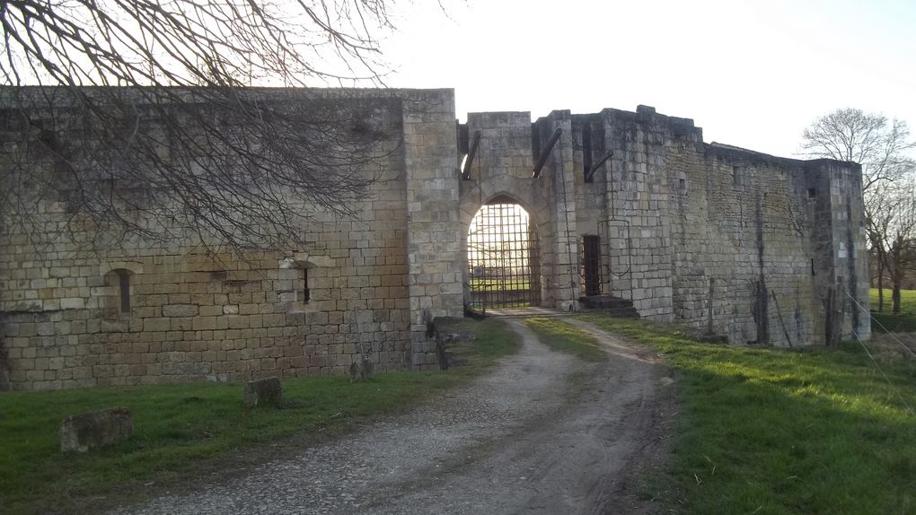 Off château de Neuil les Saintes 03/13