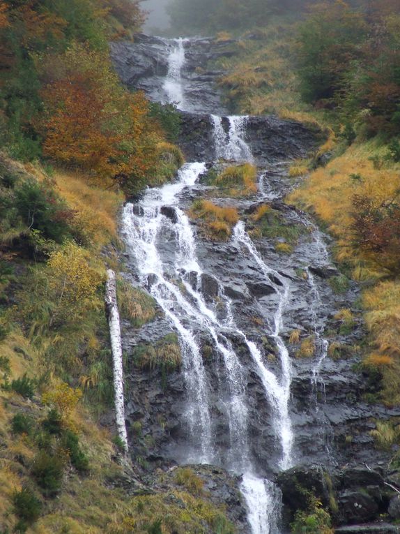 Les Pyrénées, la Fouine et un âne de Bretagne.