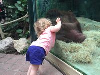 Adèle au ZooParc de Beauval...