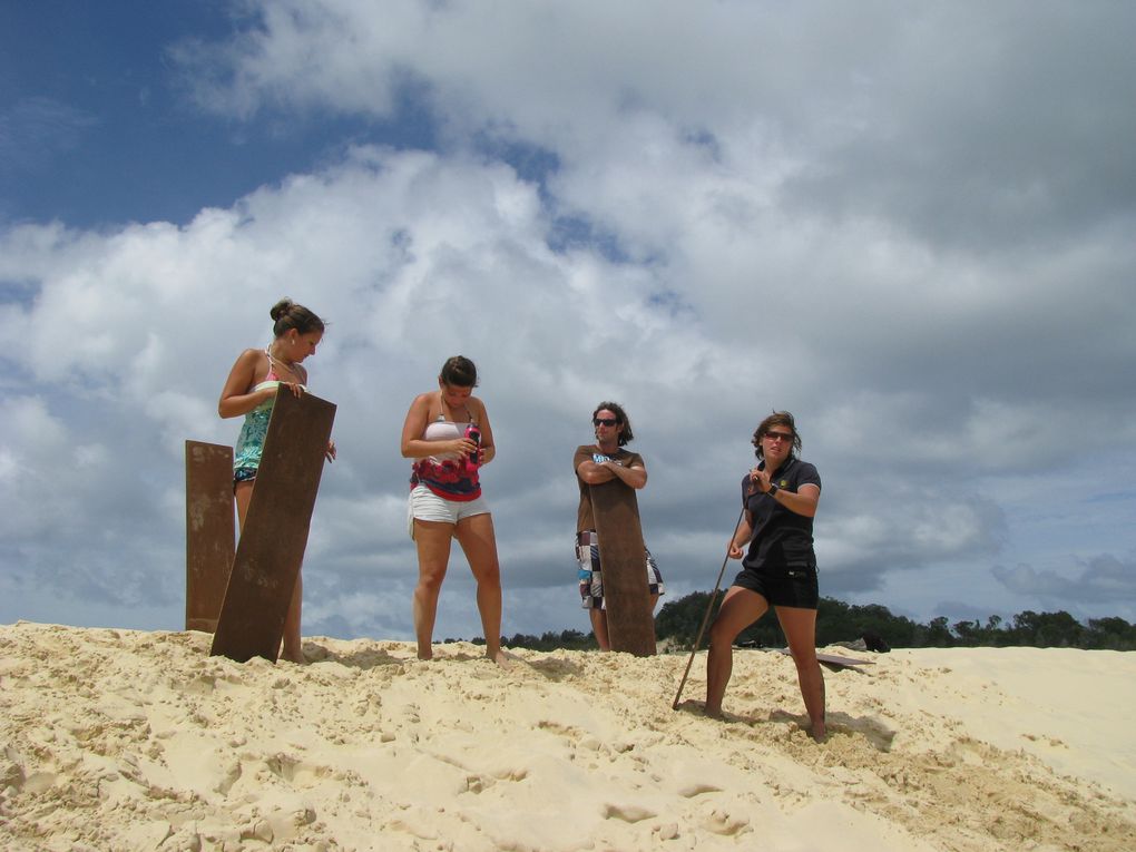 Mal wieder ein toller Urlaub, von Sydney, Brisbane, Fraser Island und last but not least Moreton Island!