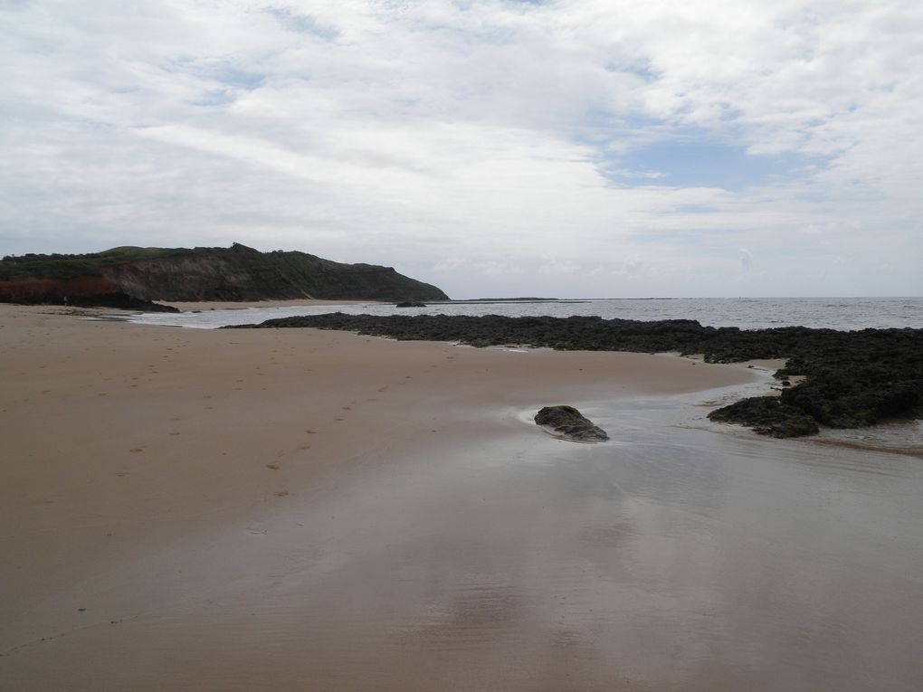 Album - SYD---LONG-REEF-BEACH