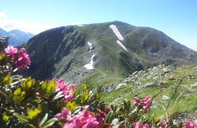 Mont Archas (2526m) - Cime de la Vallette  (2449m)...