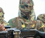 Nigerian troops kill about 30 Islamists in gun battle: army