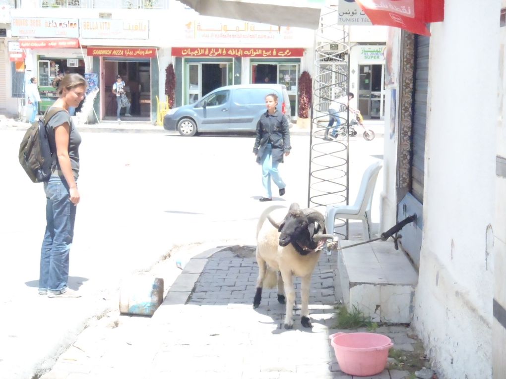 Album - Tunisie