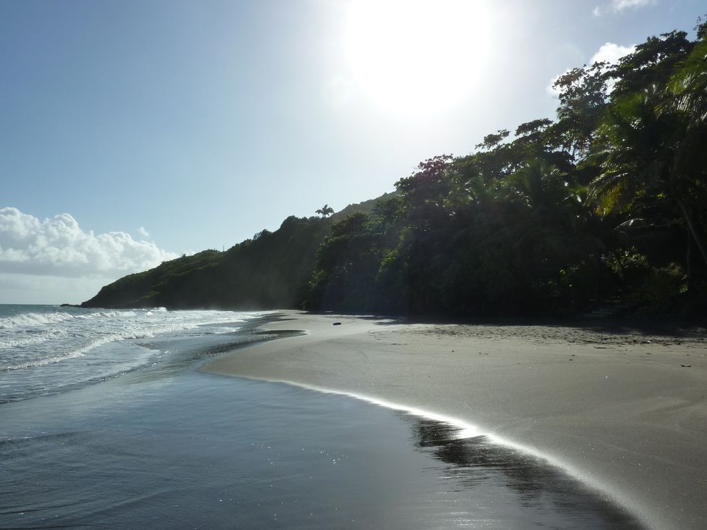 Séjour en Guadeloupe du 06 au 16/12/2009