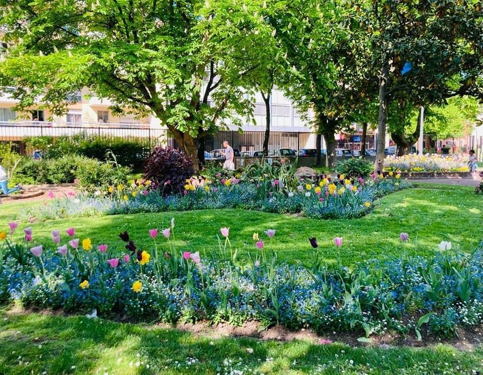 [CADRE DE VIE - GRAND PLAN 2000 ARBRES PLANTÉS]