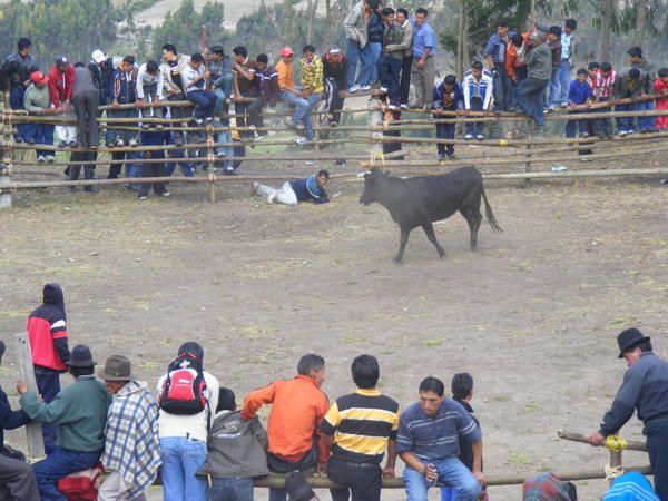 Album - Ecuador