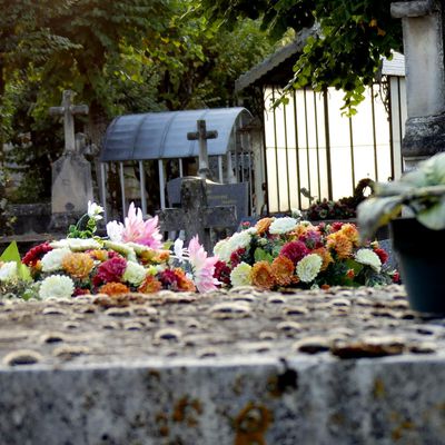 Dans le cimetière de Cahors