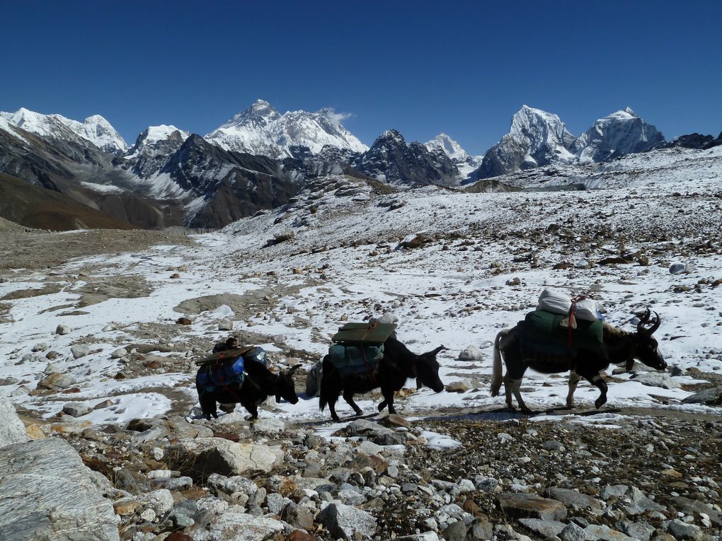 une sélection de photos de nos précédents voyages et sorties