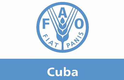 La FAO aide Cuba à protéger ses forêts