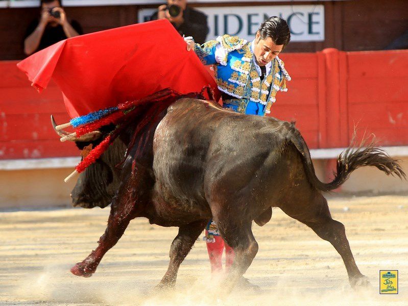 Arènes de VERGEZE (30) Dimanche 14 avril 2013 à 16H30-  Corrida du Rhôny avec  6 Toros des Frères Tardieu pour Marc Serrano, Antonio-João Ferrera et Alberto Lamelas - Cavalerie Heyral