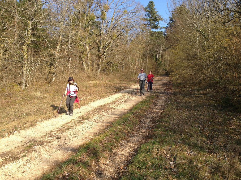 SORTIE MARCHE NORDIQUE : COUBLANC 