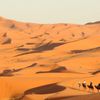 http://www.annonces100x100.com/25/posts/3_Annonces_Auto_Moto/34_4x4/148409_Camel_Trekking_in_the_desert_Merzouga.html