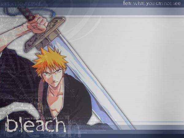 Album - Bleach