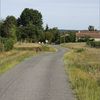 sur les chemins de Gours (gironde)