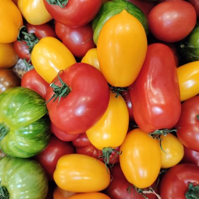 Le prix d’un kilo de tomates dans le monde.