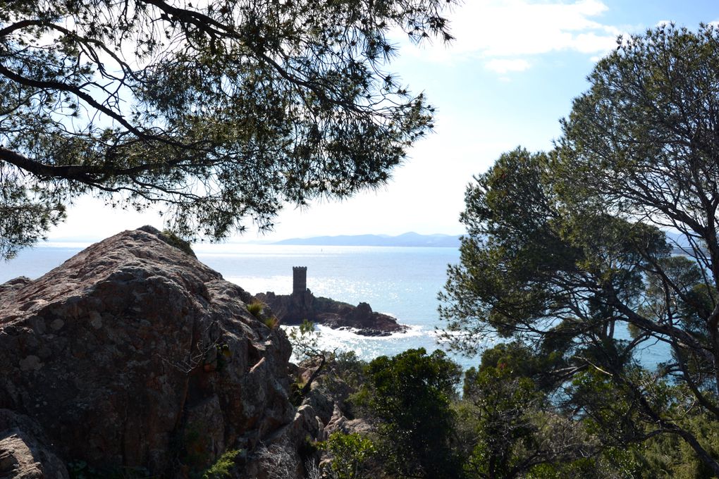 Une balade autour du cap Dramont, printemps 2011