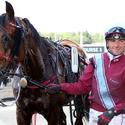 Quinté mardi à Vincennes : un Colt à deux coups