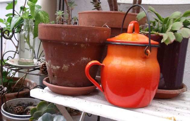 Le petit pot orange