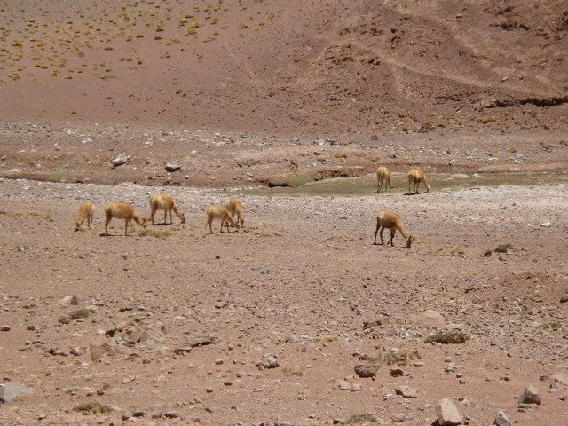 Album - 03.Argentine Nord-Ouest