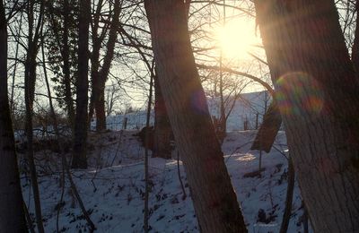 NEIGE ET GLACE EN SEGALA (12)