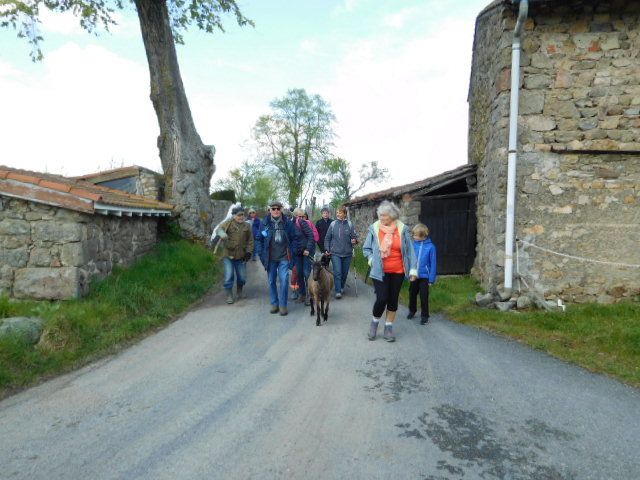 Au passage, nous avons accueilli 2 marcheurs de plus en la personne d'un agriculteur et de sa chèvre qui semblent apprécier notre compagnie