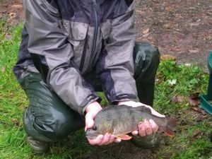 Le Pêcheur Barbezilien donne un coup de pouce au milieu aquatique !