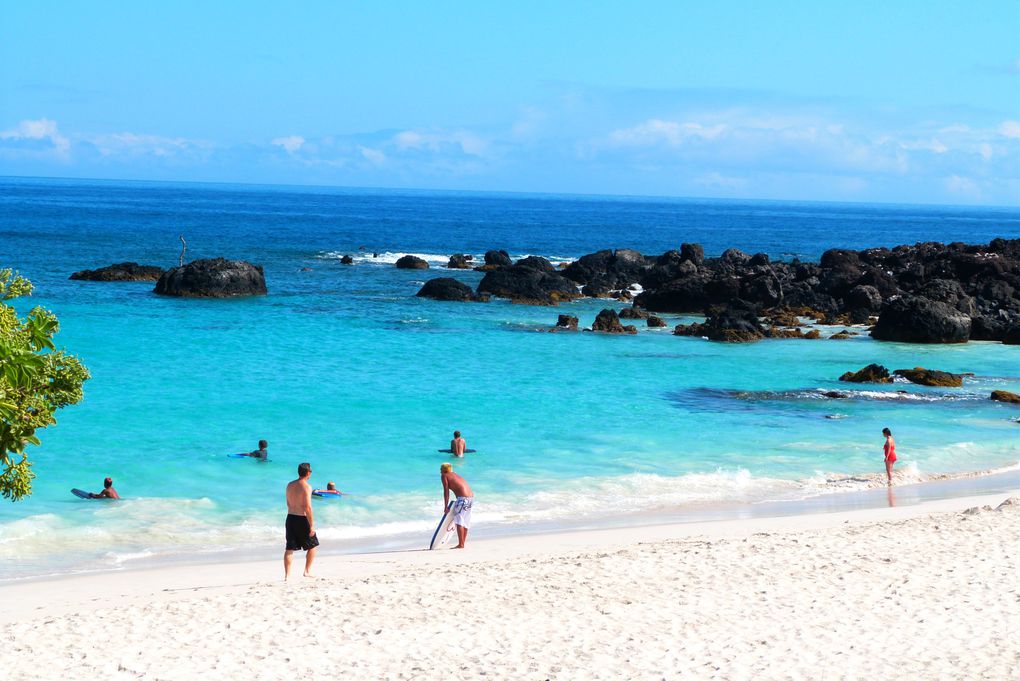 Nous avons passé 2 semaines à Hawaii au cours desquelles nous avons visité les Iles de Maui, de big island, et de Oahu.