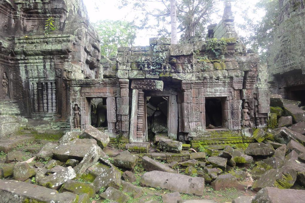(Visité le 26.08.2014) Ta Prohm est un des temples majeurs du roi Jayavarman VII (1181-C. 1215) Une ambiance paisible y règne. Si le Ta Prohm est en mauvaise état, il en garde toujours son charme, c'est l'école française d'Extreme-Orient qui choisit de laisser ce temple dans son état naturel pour laisser un exemple de ce à quoi ressemblaient généralement les monuments du royaume d'Angkor au moment de leurs découvertes au XIXe siècle. Ta Prohm est un lieu phare à Angkor et très visité à certaines heures. 