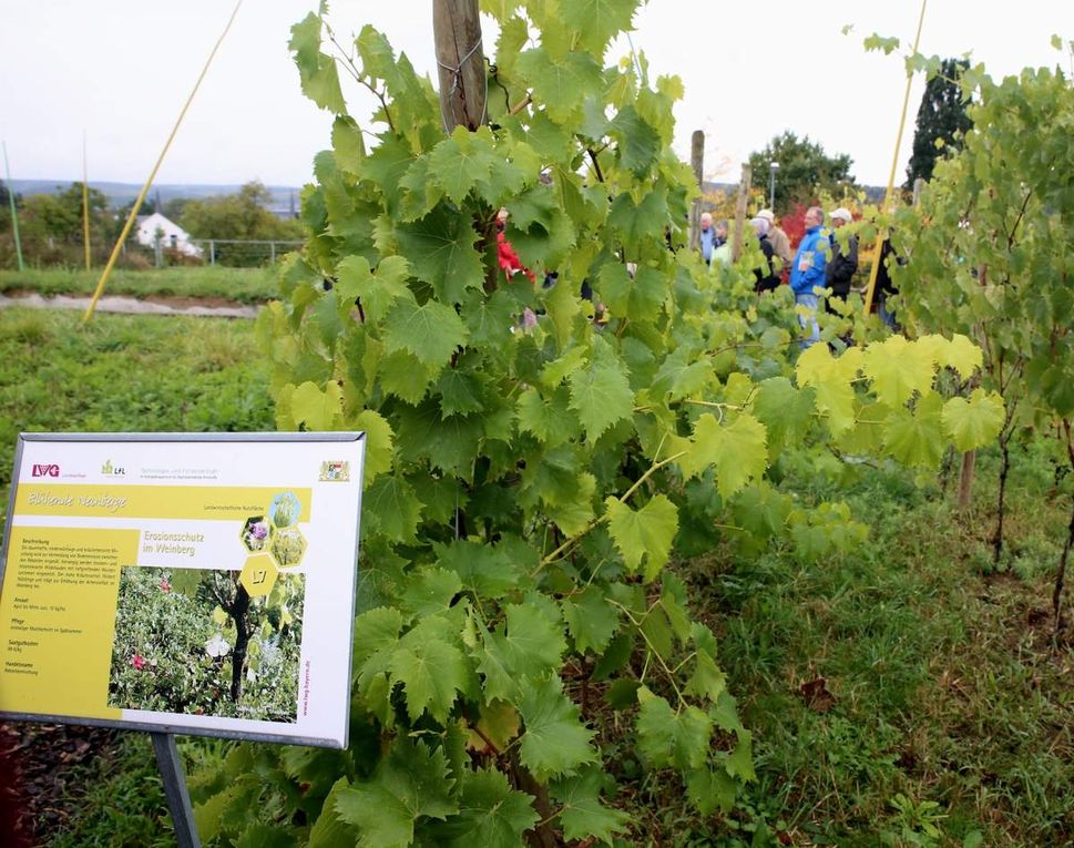 Dazu zählen auch die Entwicklung ökologisch verträglicher Anbausysteme mit mehrjährigen artenreichen Wildpflanzenmischungen für die Biogasgewinnung, zur Sicherung erosionsgefährdeter Erdbauwerke, auch von Weinbergslagen, sowie die Begrünung von Verkehrstrassen, zum Schutz gefährdeter Wildtiere in der Feldflur, zur Förderung von Bienen und Schmetterlingen. So sollen zum Schutz für Wildtiere eine Mischung hochwüchsiger Edeldistel und Pflanzen mit Klettverbreitung Hunde abhalten in bestimmte Flächen einzudringen.