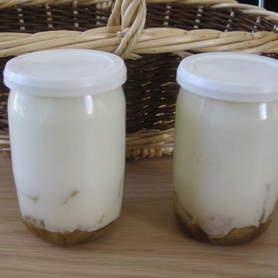 yaourts aux pommes tatin