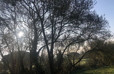 Ce matin 