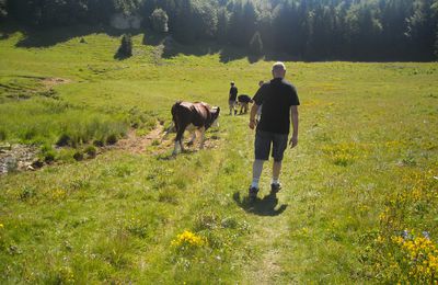 PETIT HERBIER - LES BAUGES EN SAVOIE