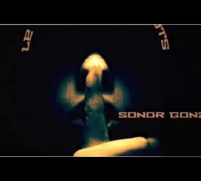 Sonor Gonza - Le Silence Des Mots