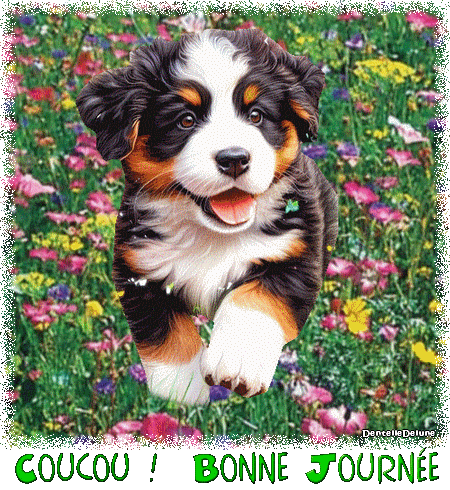 Petit chien heureux courant dans un champ de fleurs - gif bonne journée