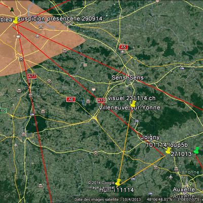 Loups Yonne: futures dispersions sur Fontainebleau?