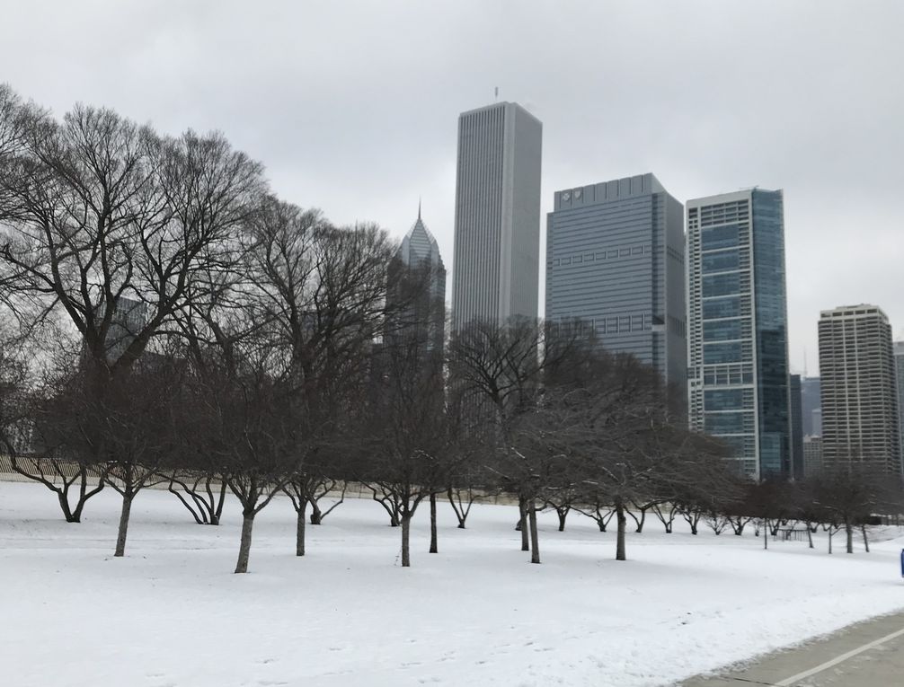 Arrivée sous la neige et promenade dans les rues : froid très vif mais un régal pour lez yeux.