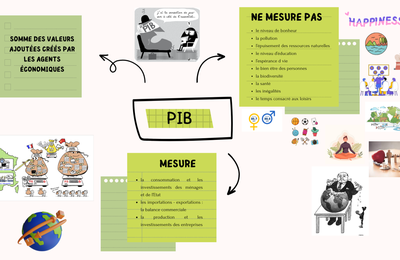 Carte mentale PIB