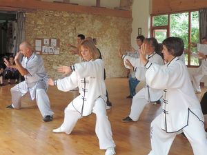 Stage découverte, Taiji Quan et Taiji Shan