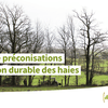 Nouveau chapitre du Guide de préconisation de gestion durable des haies