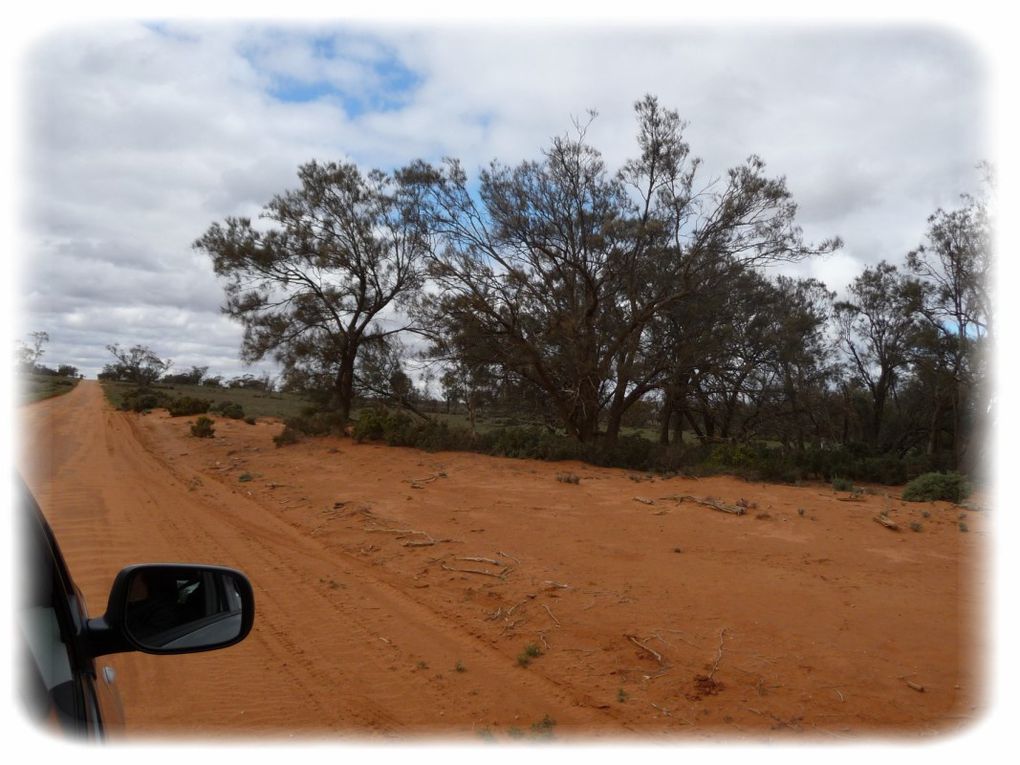 Album - Mildura - Mungo National Park