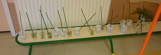 Aprés le décor les activités