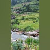 Sapa, au bord de l'eau