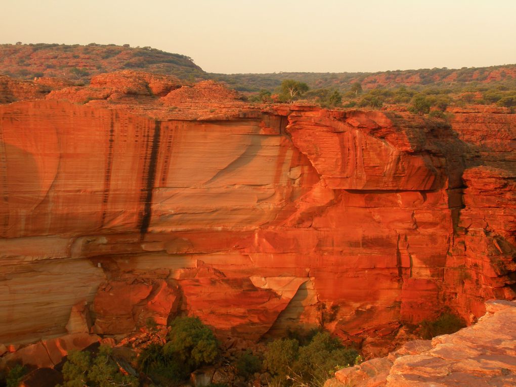 Voyage au coeur de l'Australie et des Aborigènes