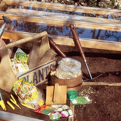 Que faire au potager en février ?