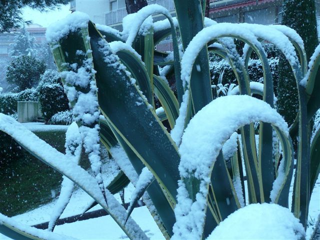 ANTIBES SOUS LA NEIGE