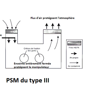 Les postes de sécurité microbiologique (PSM)