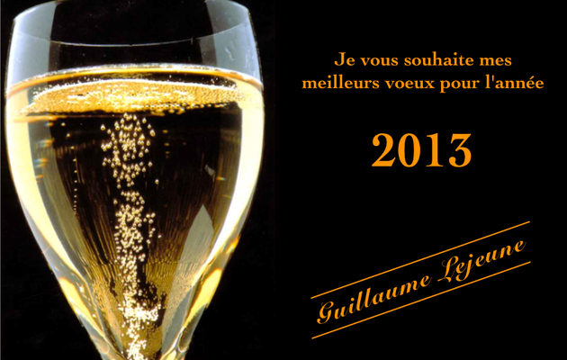 Meilleurs voeux 2013 !