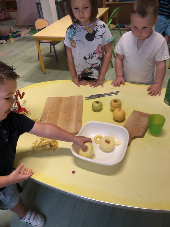 Réalisation d une compote de pommes en PS MS